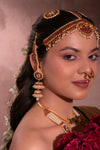 MOHINI COLLECTION - Wine Kacholi Costume