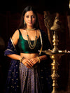 Ready to Wear Lehenga-Choli & Shela